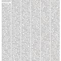 NYT (3).jpg
